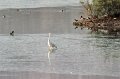 30.9.2012 Saline di Priolo (20)